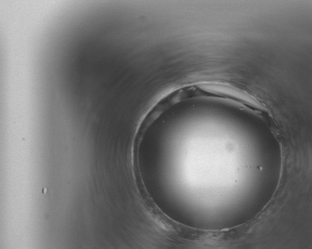 X0000072500148200607290114