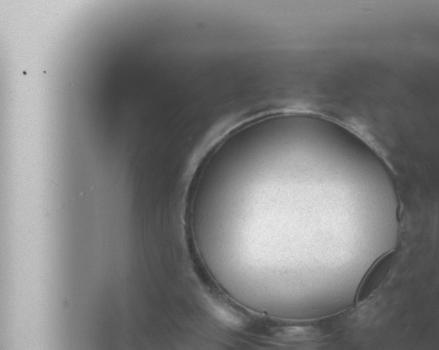 X0000072500151200607290114