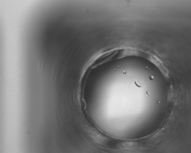 X0000072500152200607290115