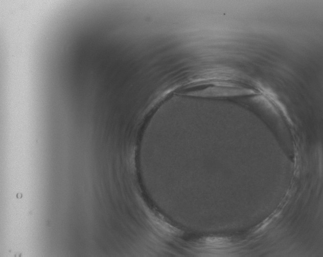 X0000072500154200607290115