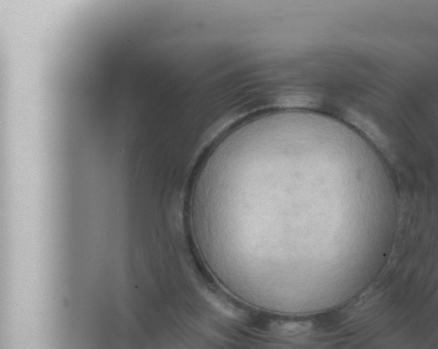 X0000072500155200607290115