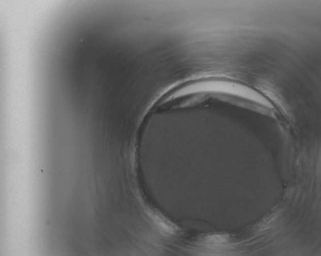 X0000072500156200607290115