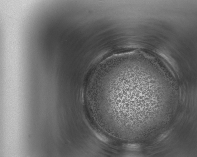 X0000072500157200607290115