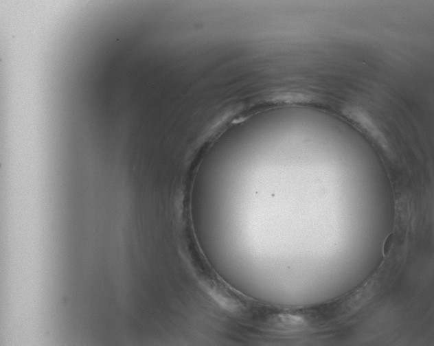 X0000072500159200607290115