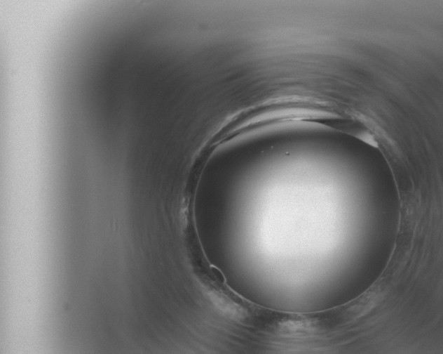 X0000072500160200607290115