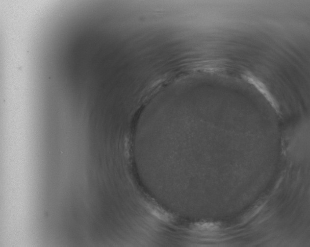 X0000072500161200607290115