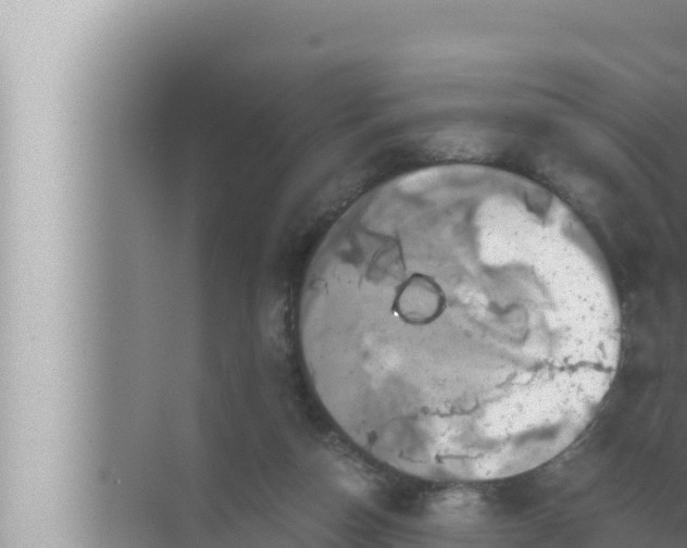 X0000072500162200607290115