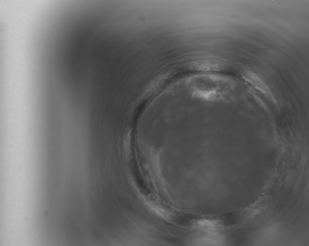 X0000072500163200607290115