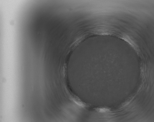 X0000072500165200607290115