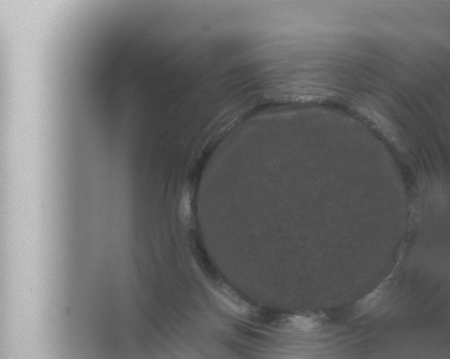 X0000072500166200607290115