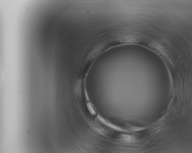 X0000072500167200607290115