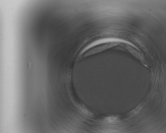 X0000072500168200607290115