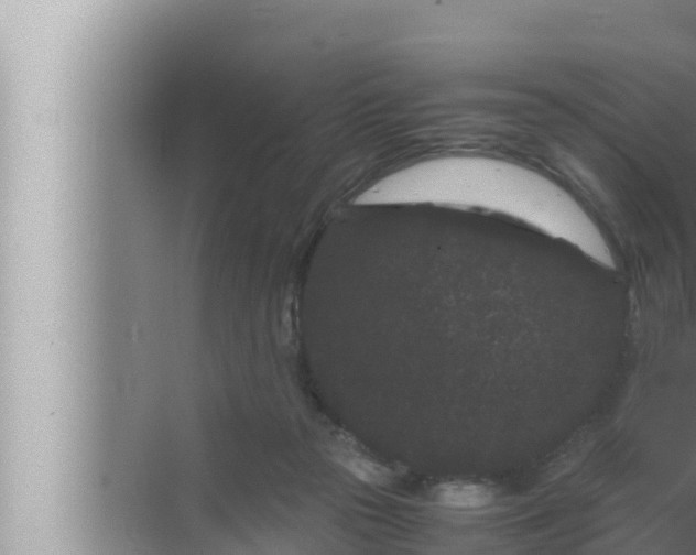 X0000072500169200607290115