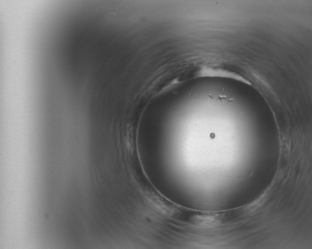 X0000072500170200607290115