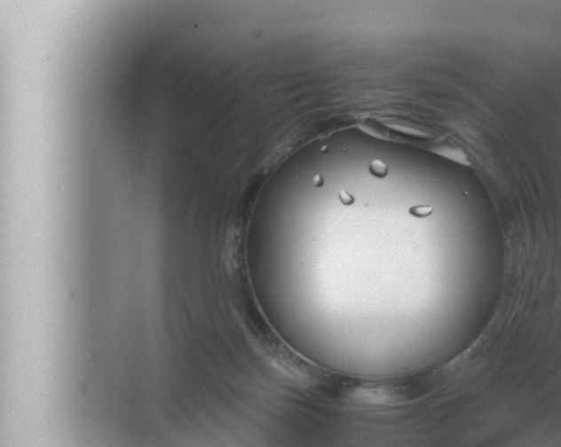 X0000072500171200607290115