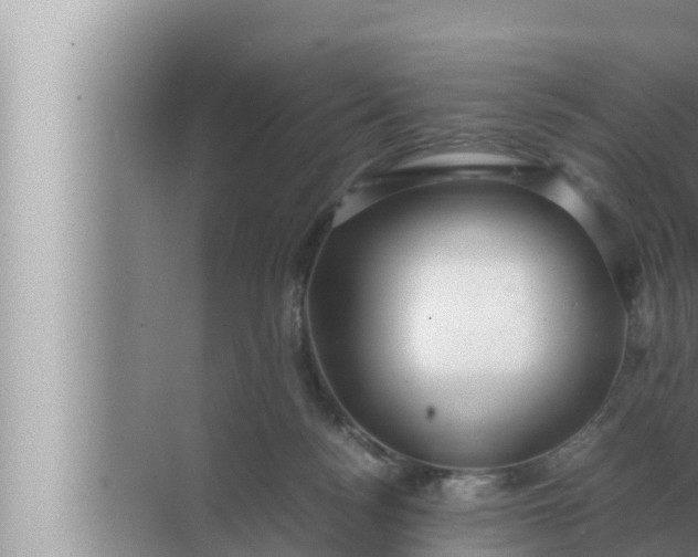 X0000072500172200607290115