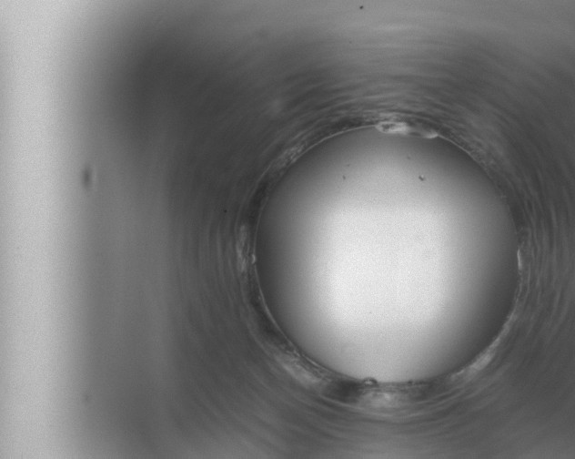 X0000072500174200607290115