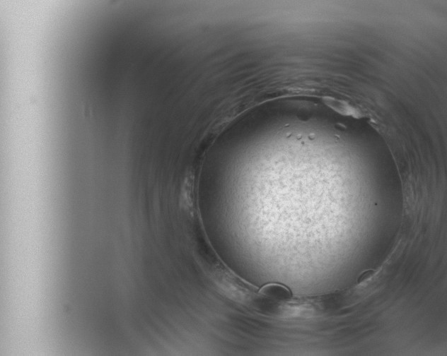 X0000072500175200607290115