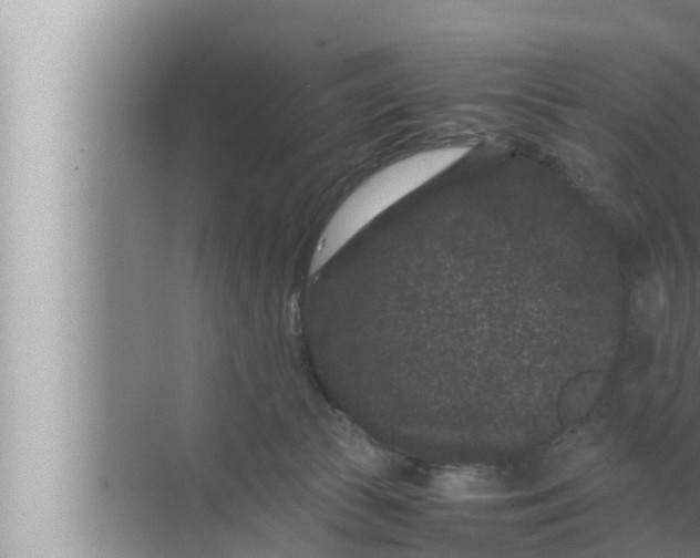 X0000072500177200607290115