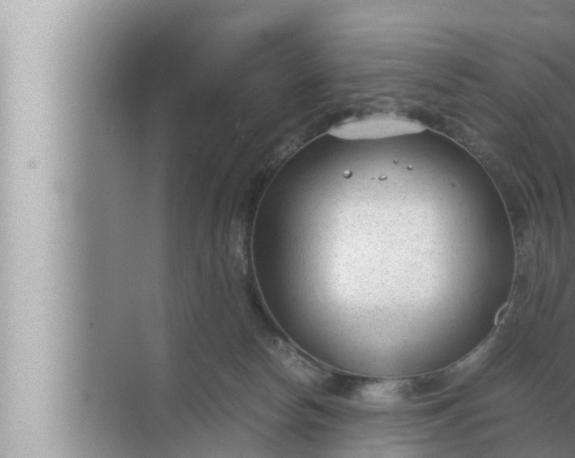 X0000072500178200607290115