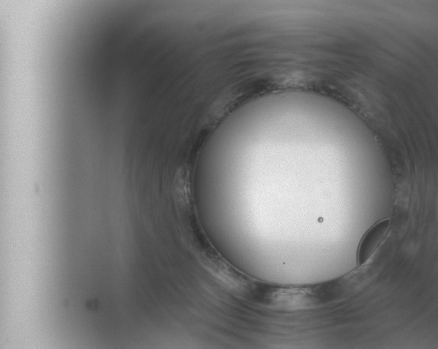 X0000072500179200607290115