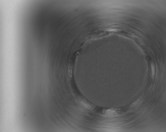 X0000072500180200607290115