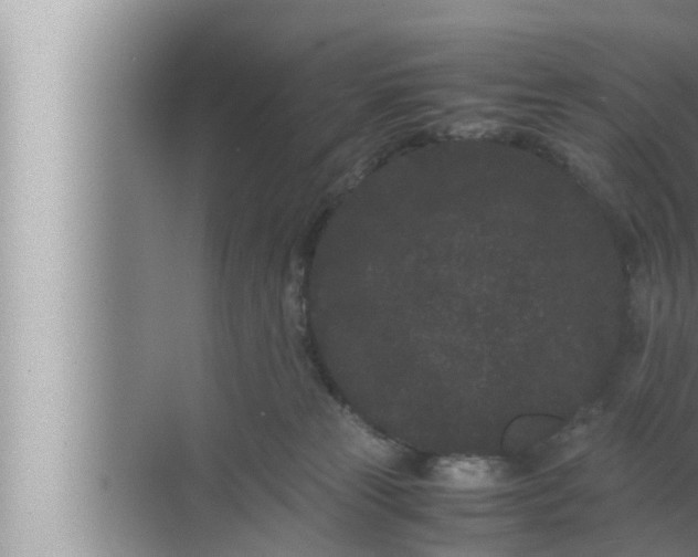 X0000072500181200607290115