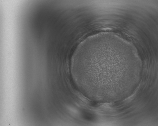 X0000072500182200607290115