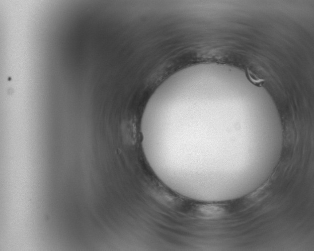 X0000072500183200607290115