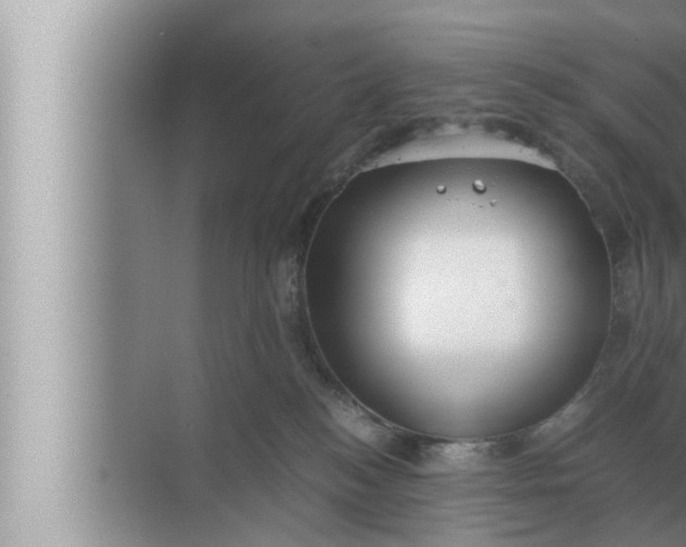 X0000072500184200607290115