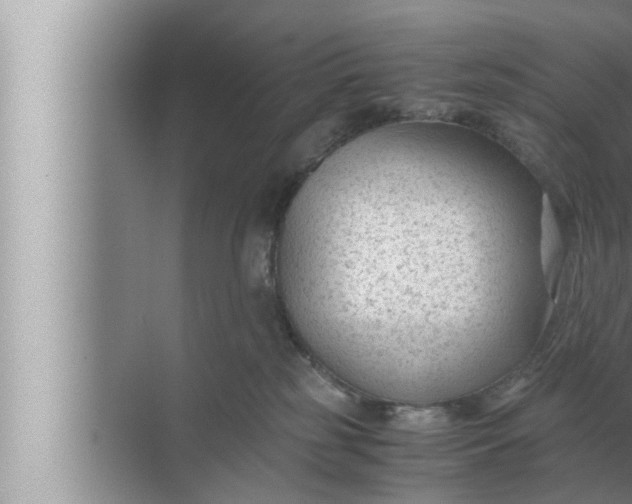 X0000072500185200607290115