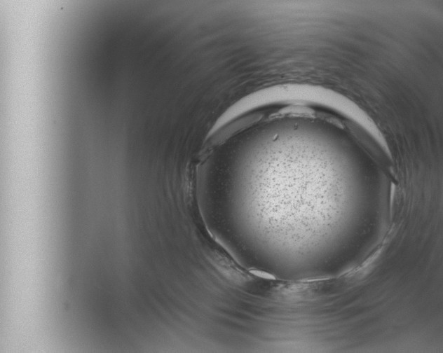 X0000072500186200607290115