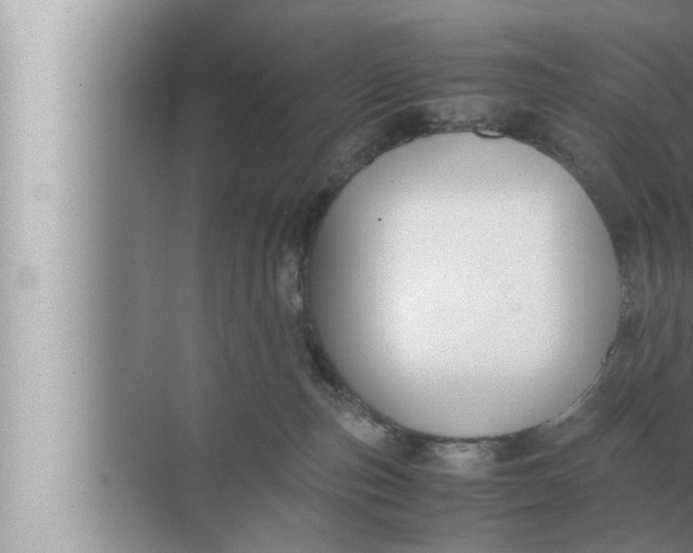 X0000072500187200607290115