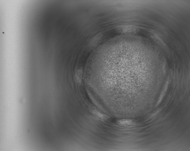 X0000072500189200607290115