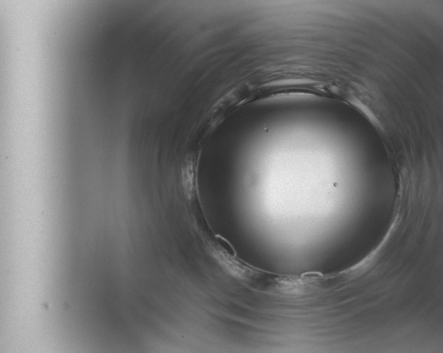 X0000072500190200607290115