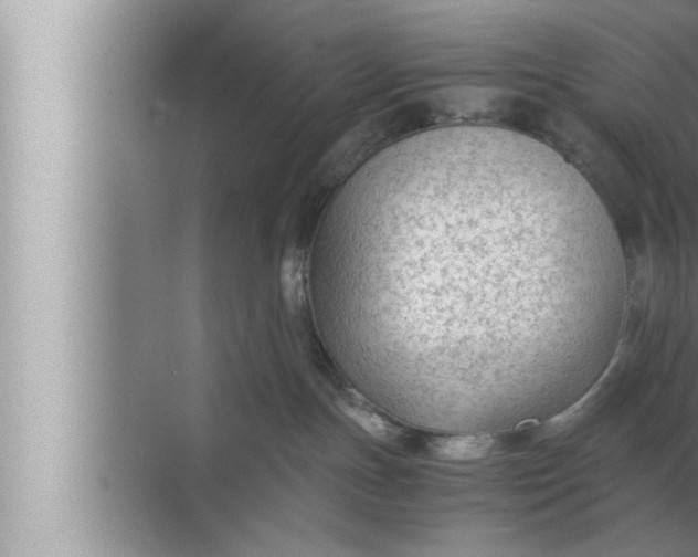 X0000072500191200607290115