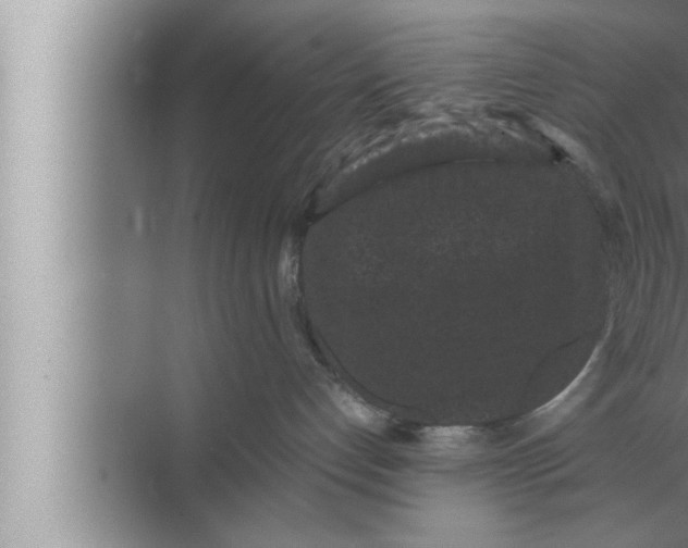 X0000072500192200607290115