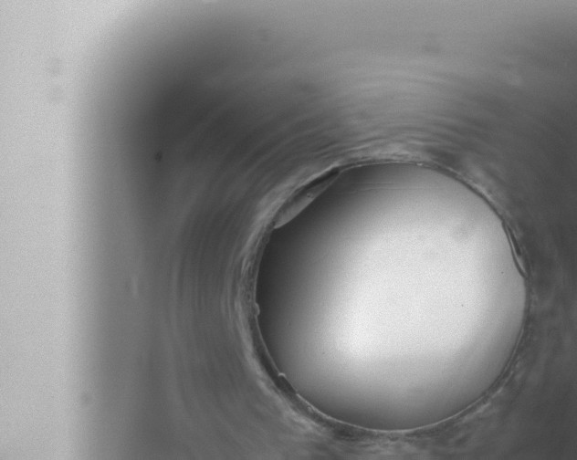 X0000072500193200607290114