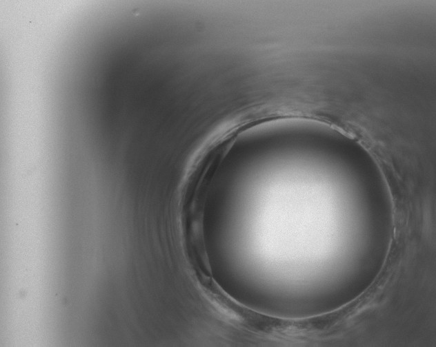 X0000072500197200607290114