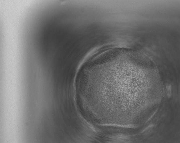 X0000072500198200607290114