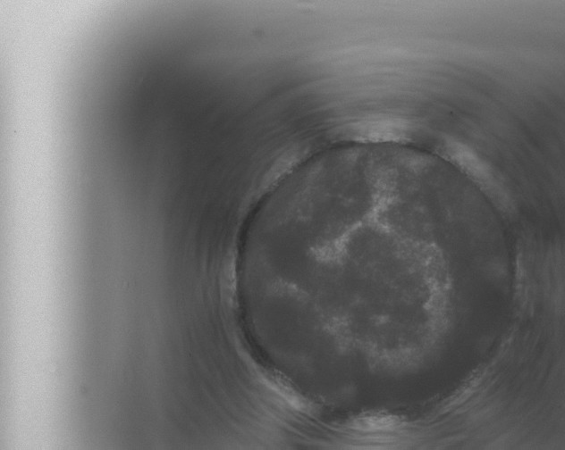 X0000072500202200607290114