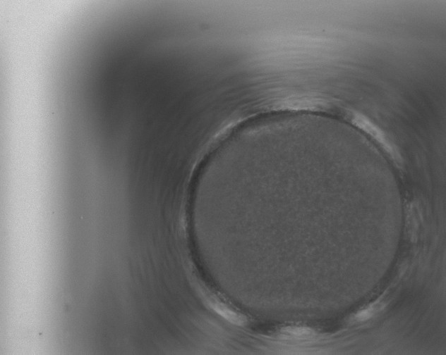 X0000072500203200607290114