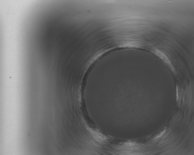 X0000072500204200607290114