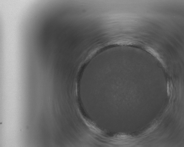 X0000072500205200607290114