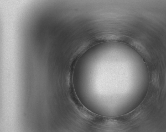 X0000072500206200607290114