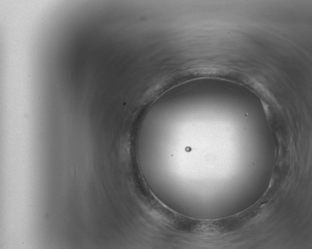 X0000072500207200607290114