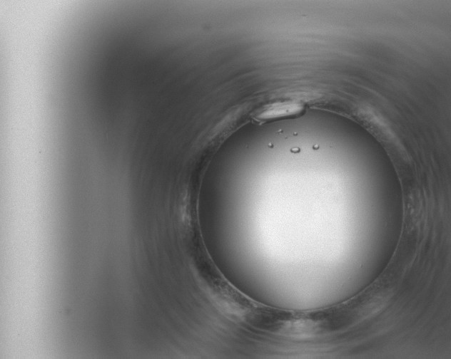 X0000072500212200607290114