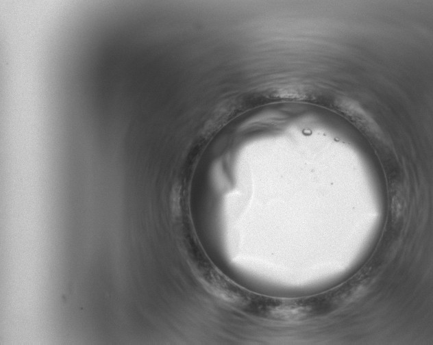 X0000072500213200607290114