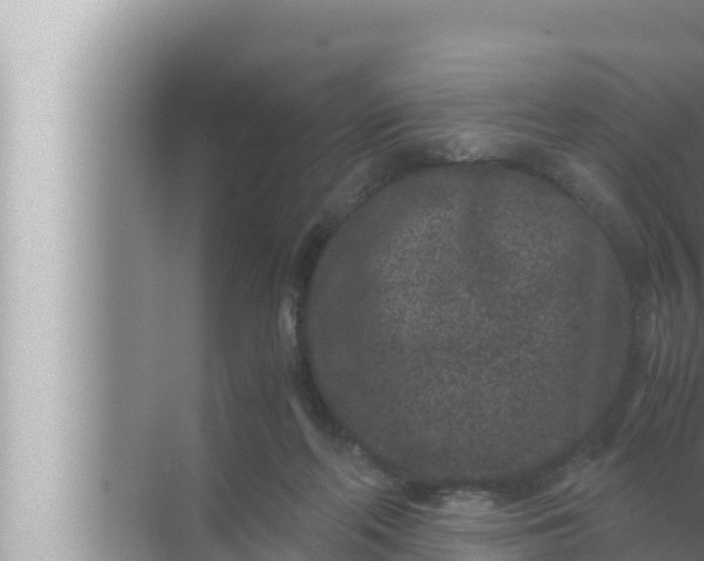 X0000072500214200607290114