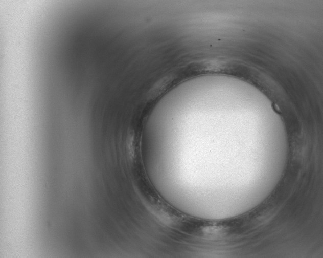 X0000072500216200607290114